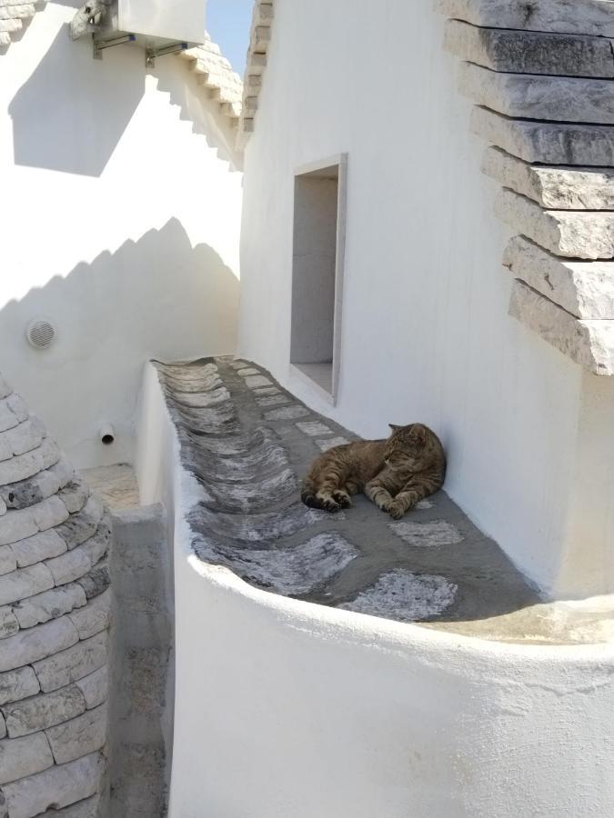 Masseria Catucci Agriturismo Alberobello Exteriör bild